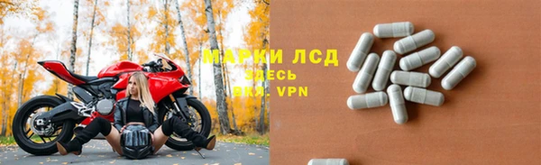 тгк Дмитровск