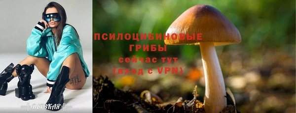 тгк Дмитровск