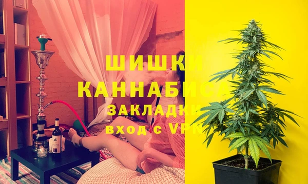 тгк Дмитровск