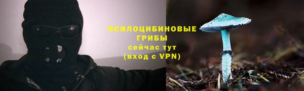 тгк Дмитровск