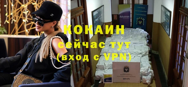 тгк Дмитровск