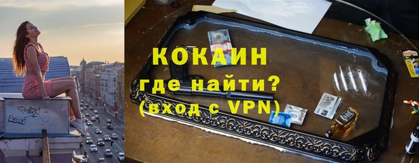 тгк Дмитровск