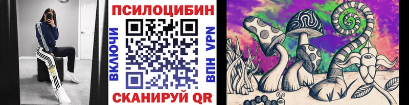 Галлюциногенные грибы Cubensis  Купить где  Гуково 