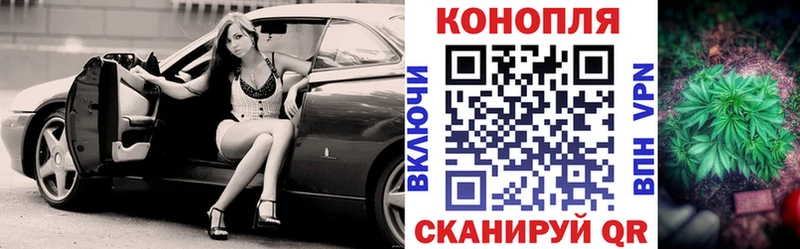 Купить закладки  Гуково  Бошки Шишки семена 